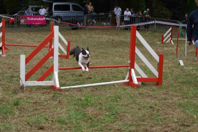 foire-haricots 2011-09-17et18